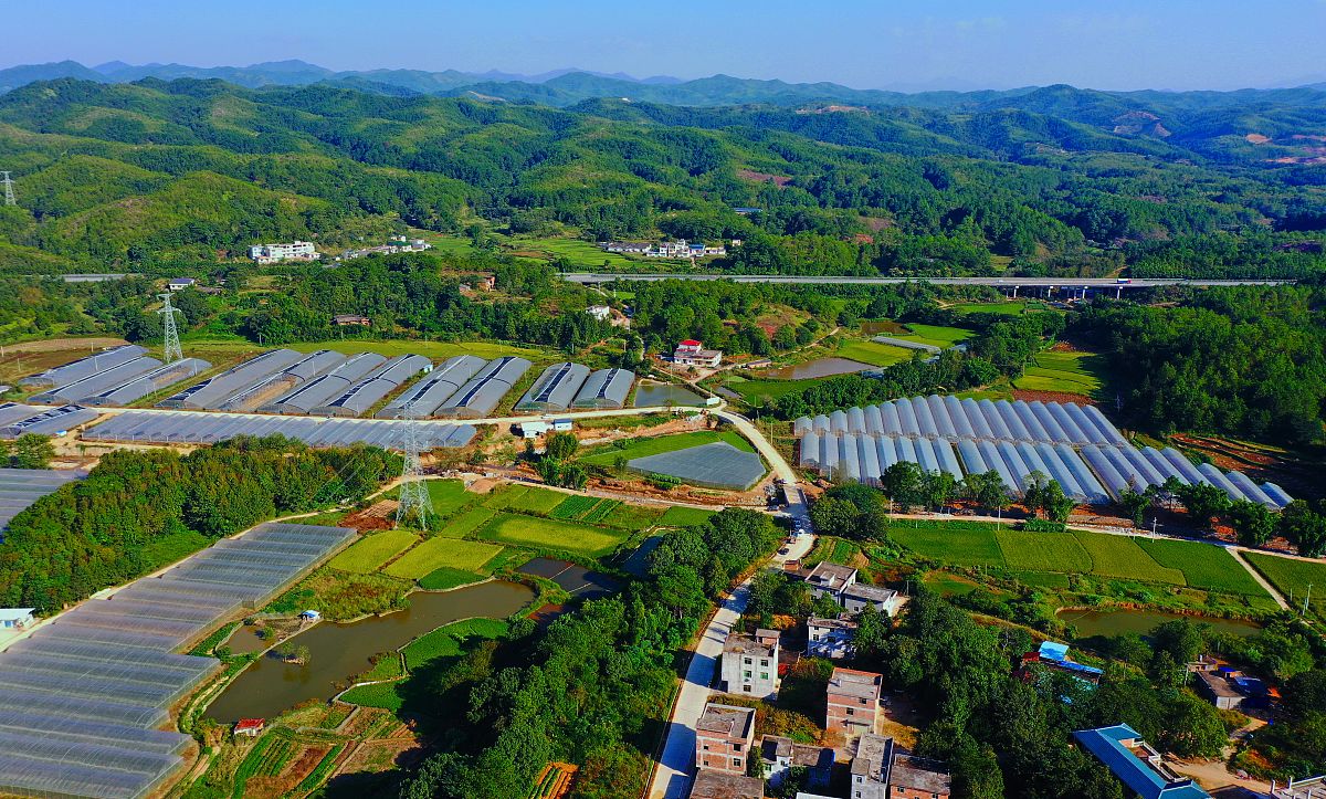 渠县岩峰职业中学设施农业生产技术专业学什么？课程设置详解