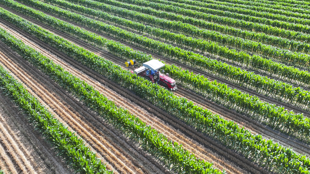 植业是什么意思_词语植业的意思