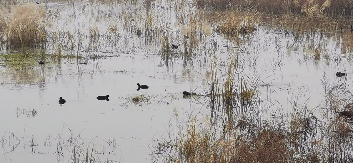 宝鸡高中毕业能上中专学校用发