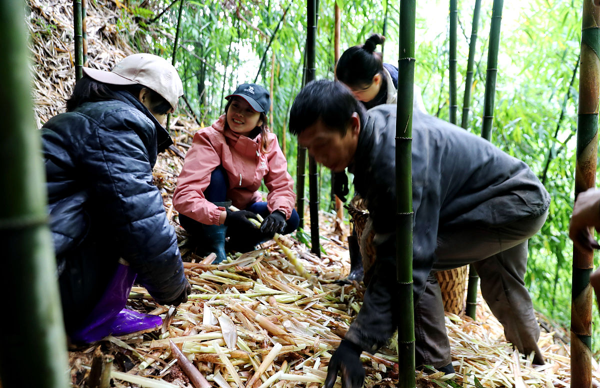 2018四川省泸州高级中学录取分数_外地招生