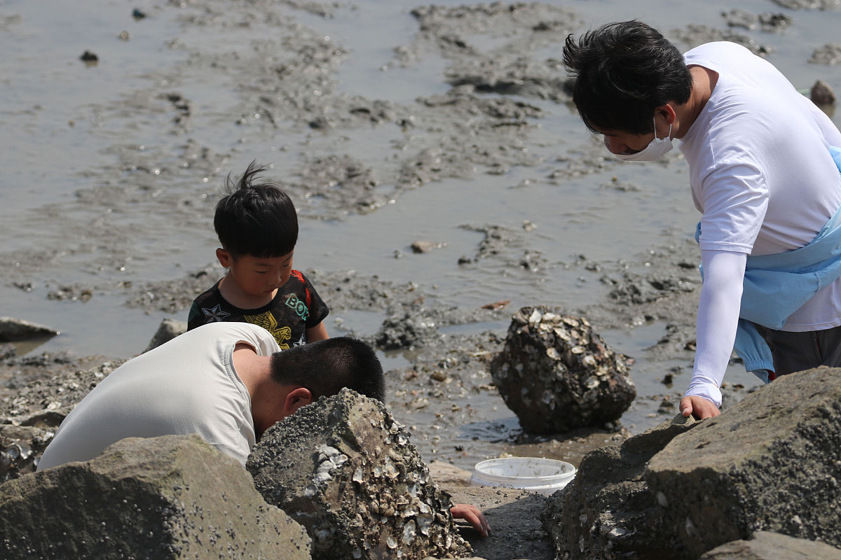 童年趣事：捉迷藏、玩水、奇妙蘑菇