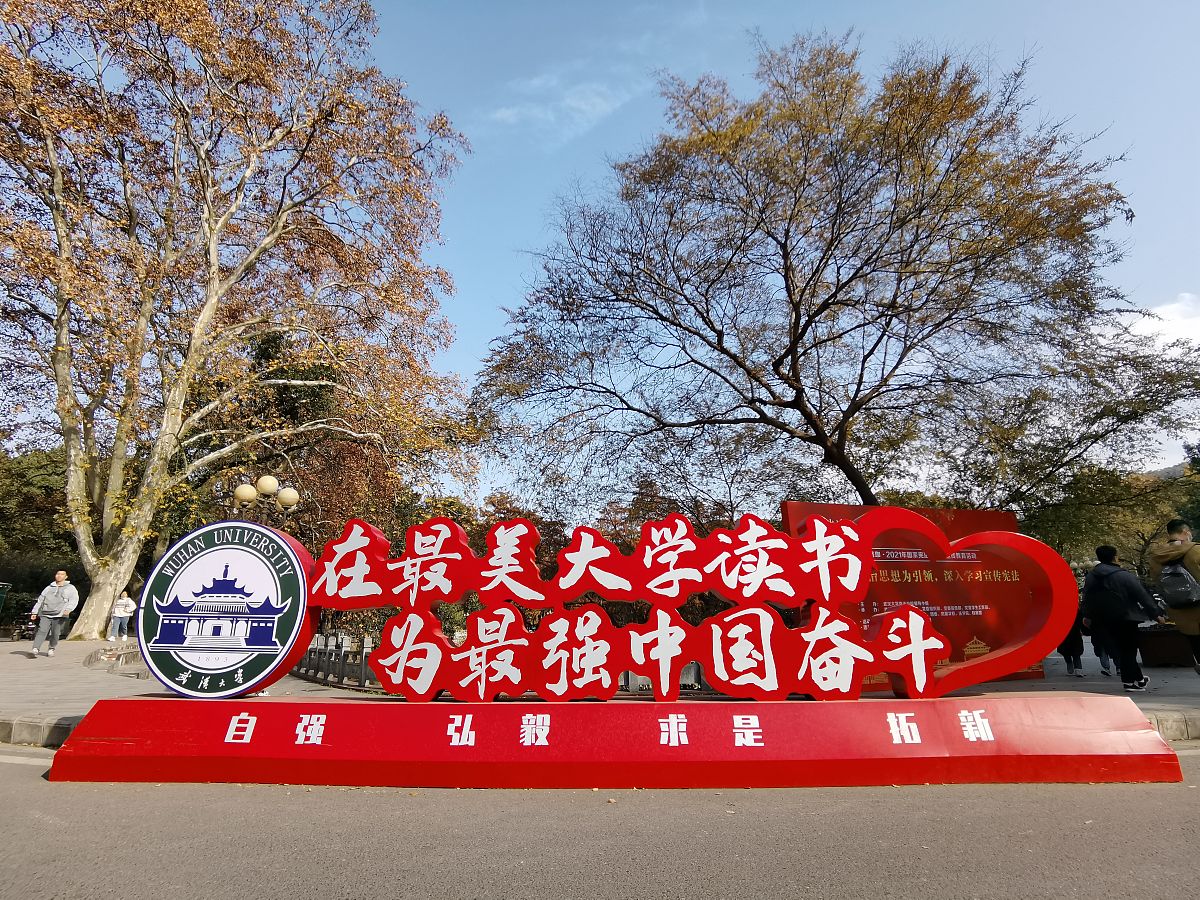 培根铸魂，立德树人：高校思政教育现状及整改措施