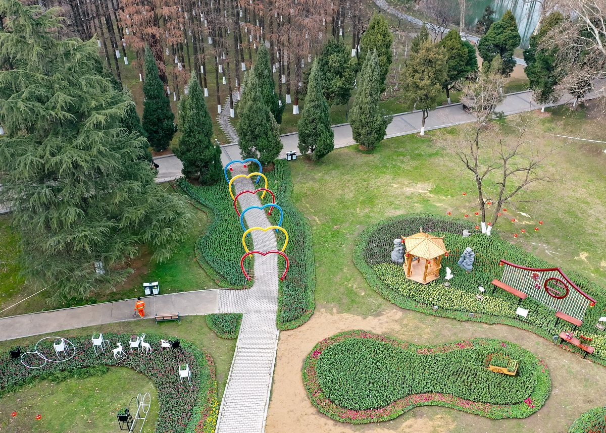 我的童年乐园：后院的无限美好