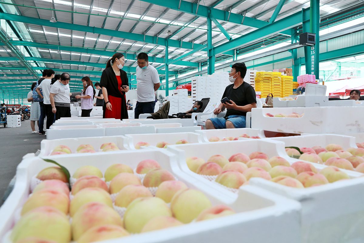 无锡阳山水蜜桃营销策略:渠道扩张、品牌推广、产品升级 无锡阳山水蜜桃营销策略:渠道扩张、品牌推广、产品升级