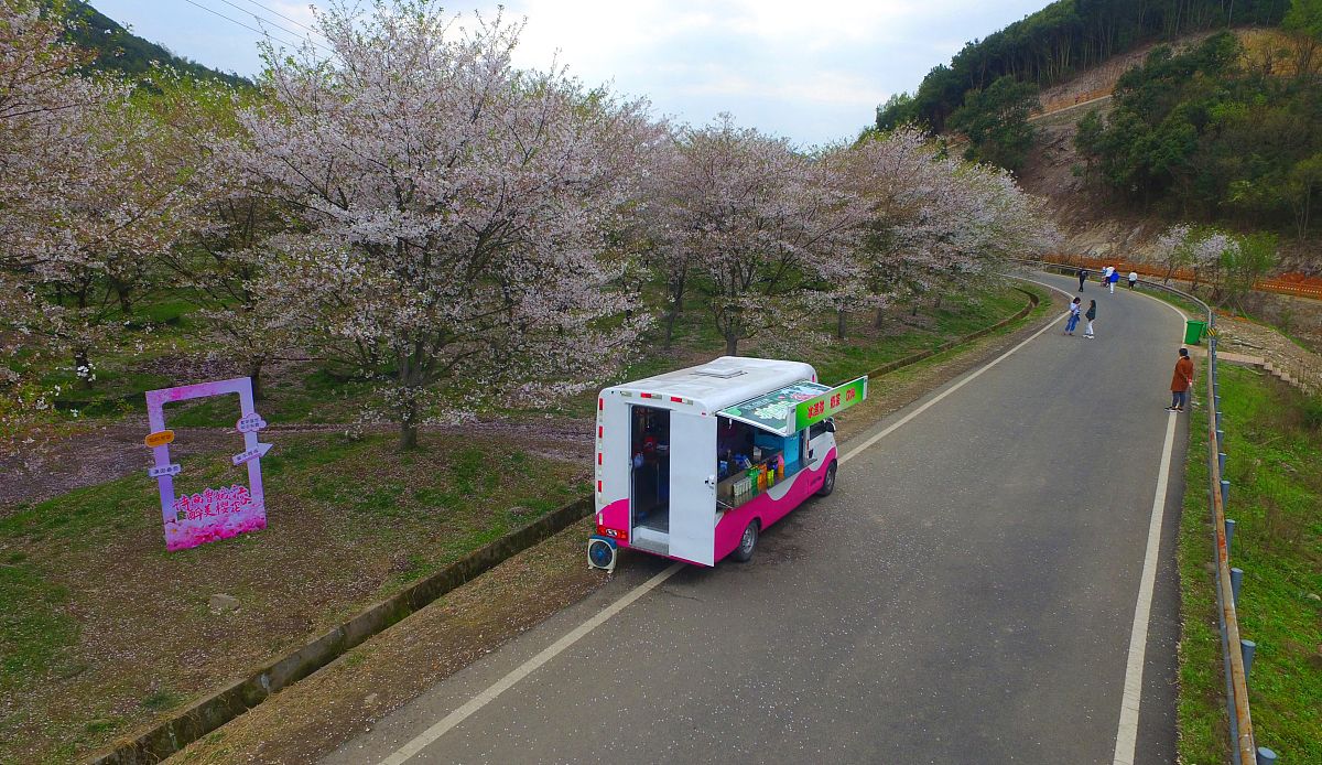 春游作文800字：感受春天活力，开启美好旅程