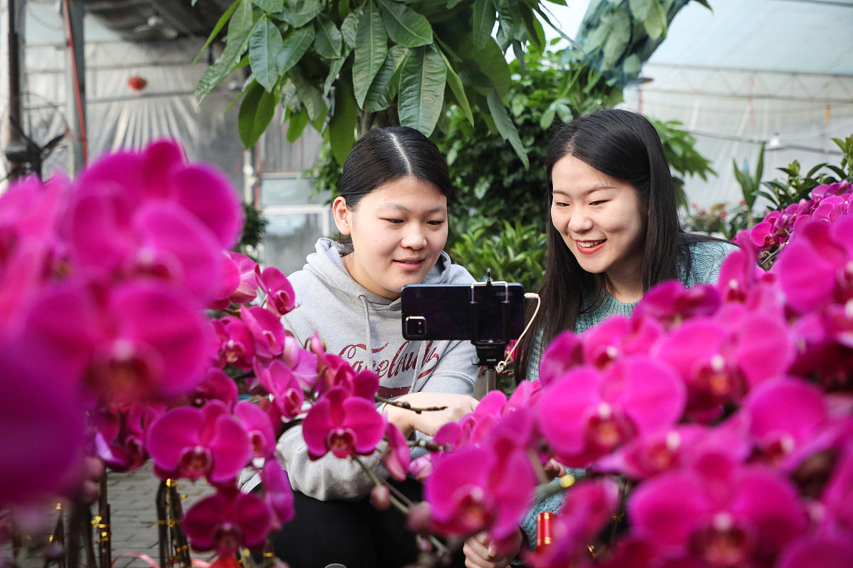 韶关学院医学院药剂专业怎么样？就业前景如何？