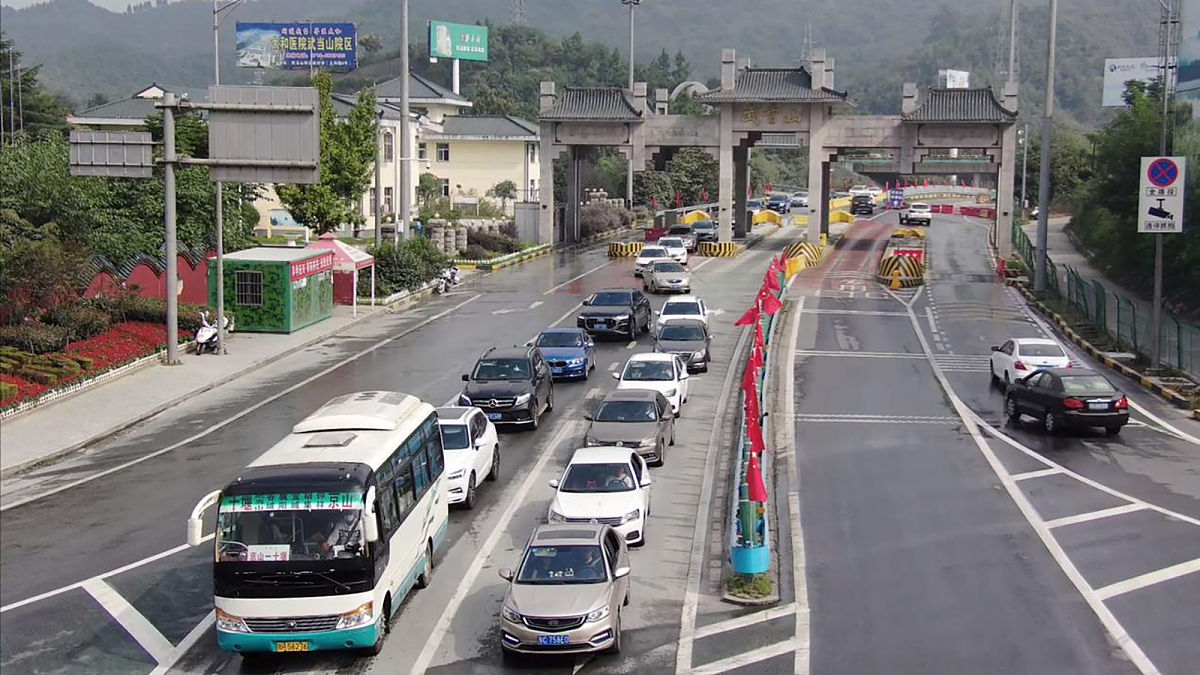 违章档案编号：了解您的交通违法记录