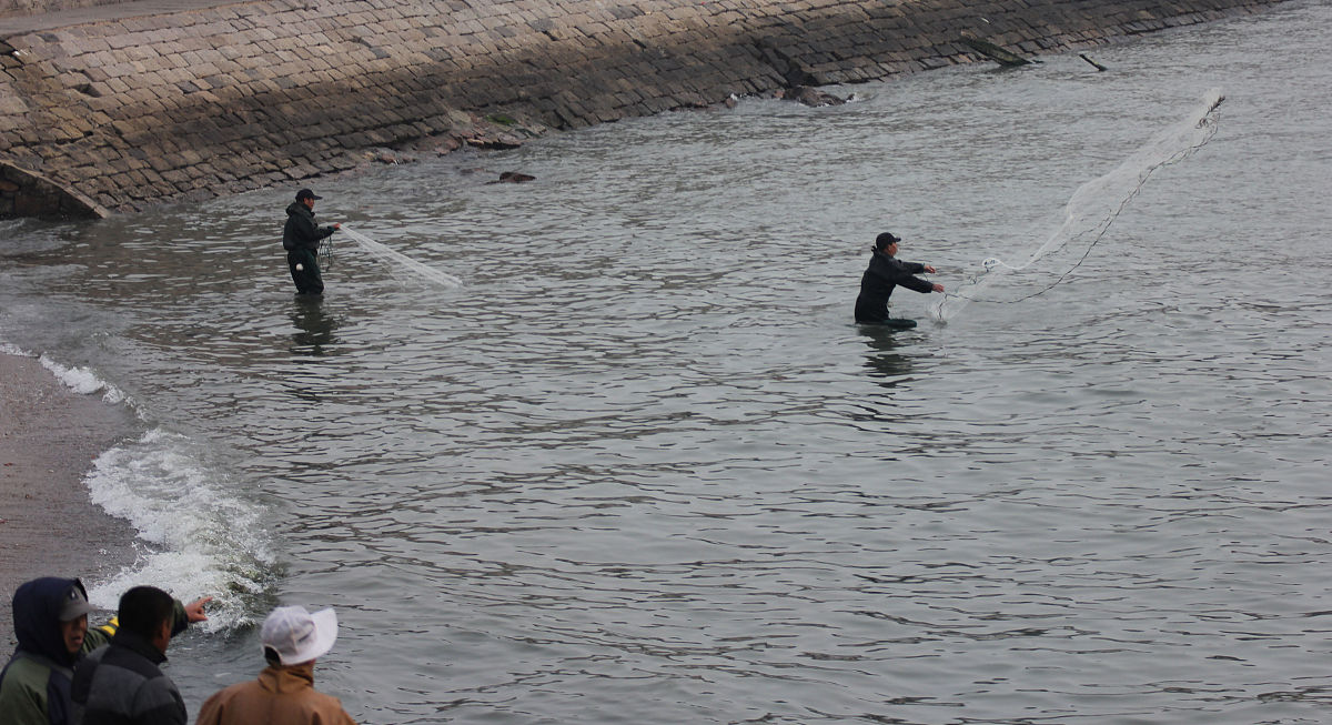 捕鱼大作战 区服选择指南 - 如何查看区服信息