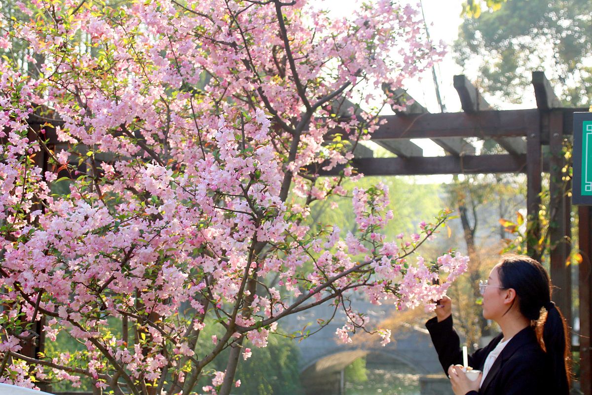 以那个春天成追忆为标题写一篇记叙文讲一讲自己在春天的特殊难忘经历抓住细节600字左右