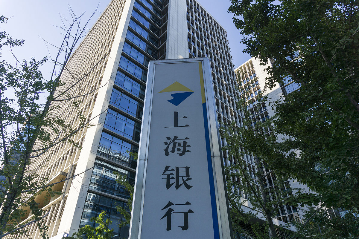 换个表达方式：2加强政策性银行的项目开发建设。国家开发银行作为国家的政策性开发性金融机构一直以包括能源投资项目在内的基础设施基础产业和支柱产业项目作为重点支持对象对我国能源产业的持续、快速发展发挥了重要作用。