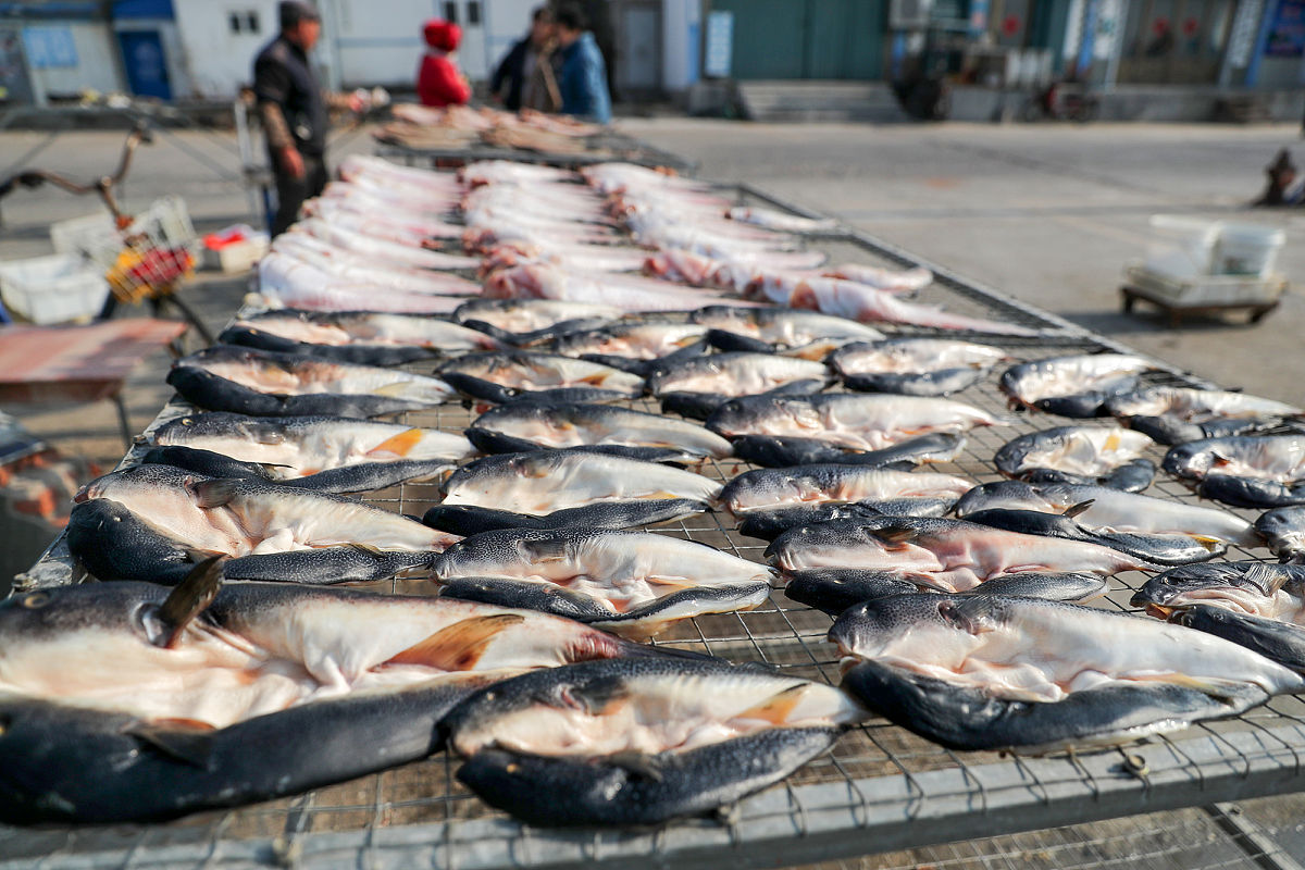 个人总结：如何写好总结并提升自我