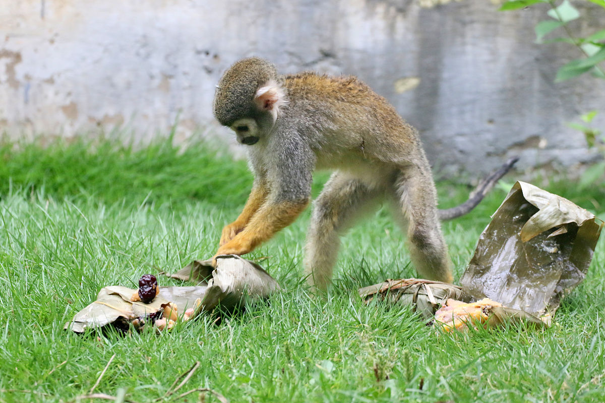 写一份800字的作文题目是我最难忘的一天