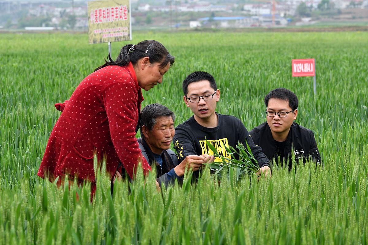 32022湘阴县三模已知水稻的高秆对矮秆为显性抗病对不抗病为显性两对相对性状独立遗传现让一株高秆抗病水稻植株作为父本与未知性状的母本进行杂交所得 F植株中高秆抗病高秆不抗病矮秆抗病矮秆不抗病-2121。下列与上述比例相关的分析错误的是A抗病基因显性纯合的受精卵可能不能发育B若以该植株为母本进行测交则子代结果不变CF中不抗病植株数可能为抗病植株的一半、D亲本产生的含不抗病基因的精子中可能有一半会死亡