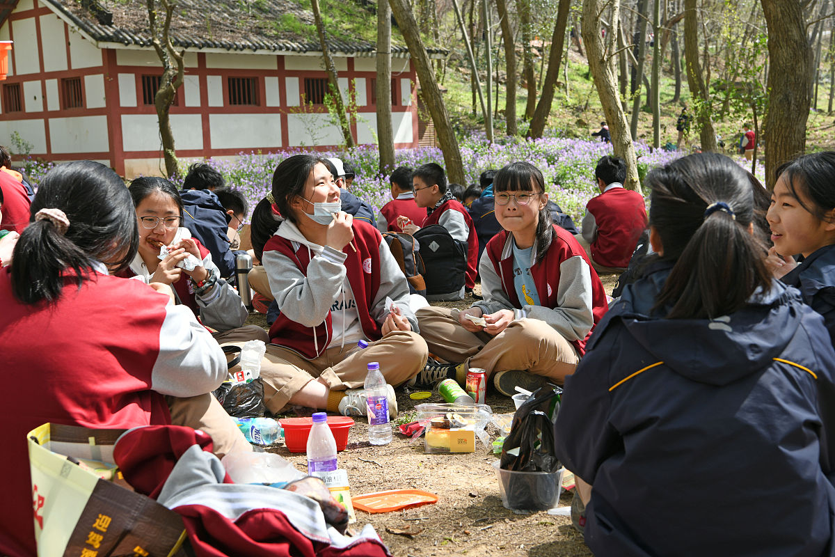 关于暑期研学的网评文章