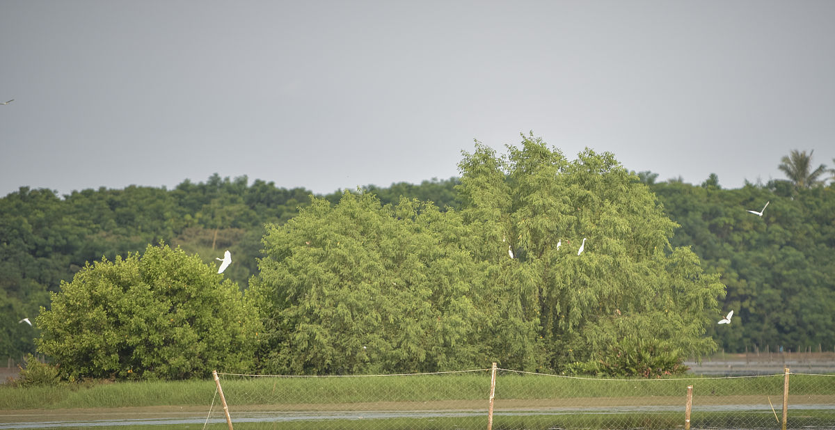 2019贵州省林业学校招生专业及相关信息