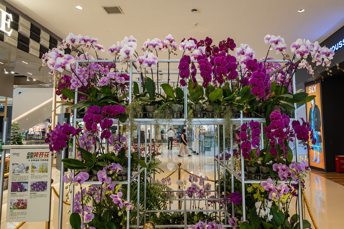 信息系统性能评价指标详解：响应时间、吞吐量、并发性能等