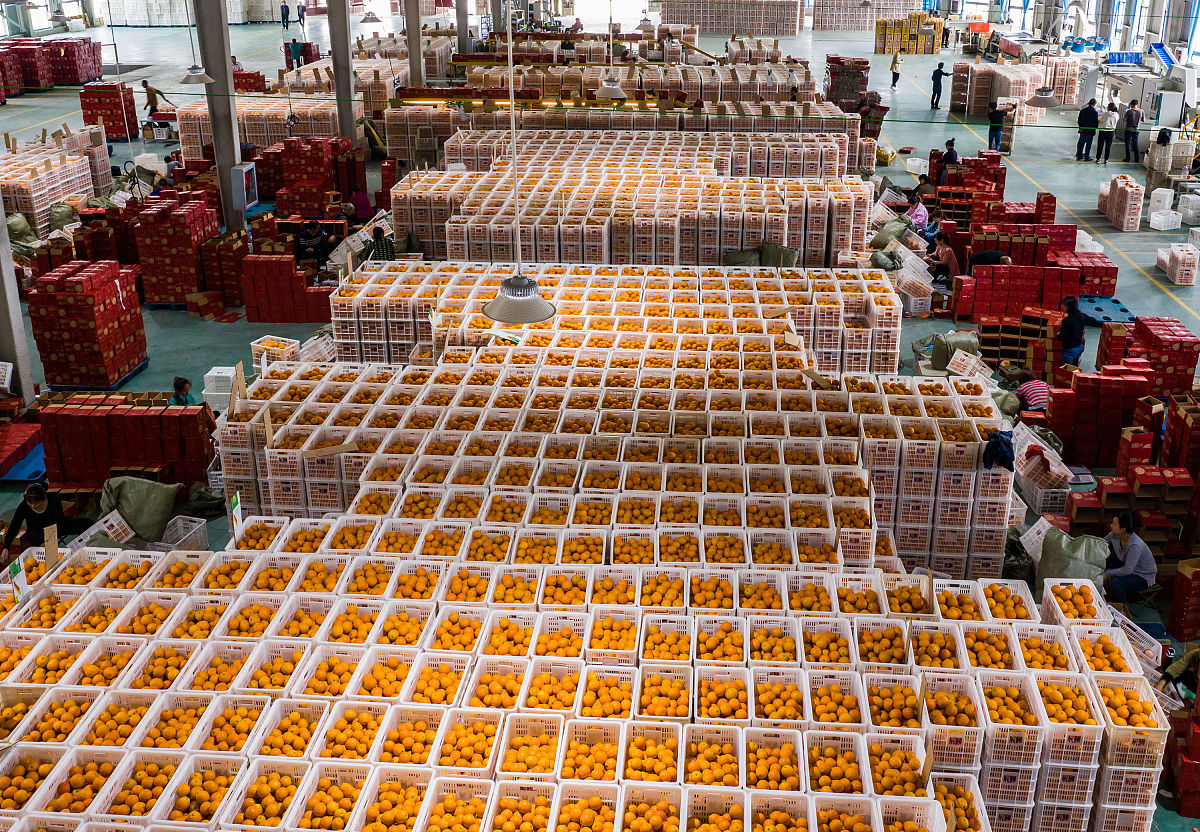 辰颐物语生鲜商业模式解析：实体店、线上购物、会员制、农场直供