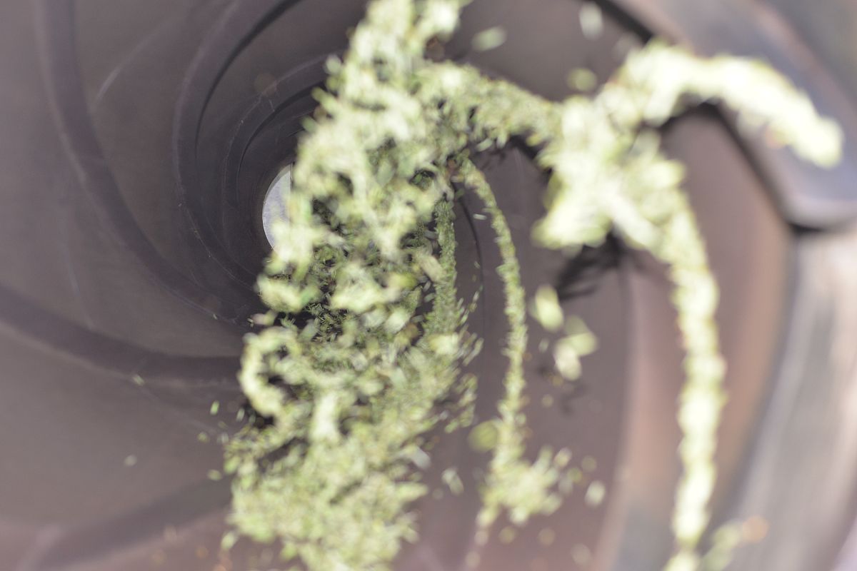 贵州省农业广播电视学校专业介绍：茶叶生产与加工专业怎么样？