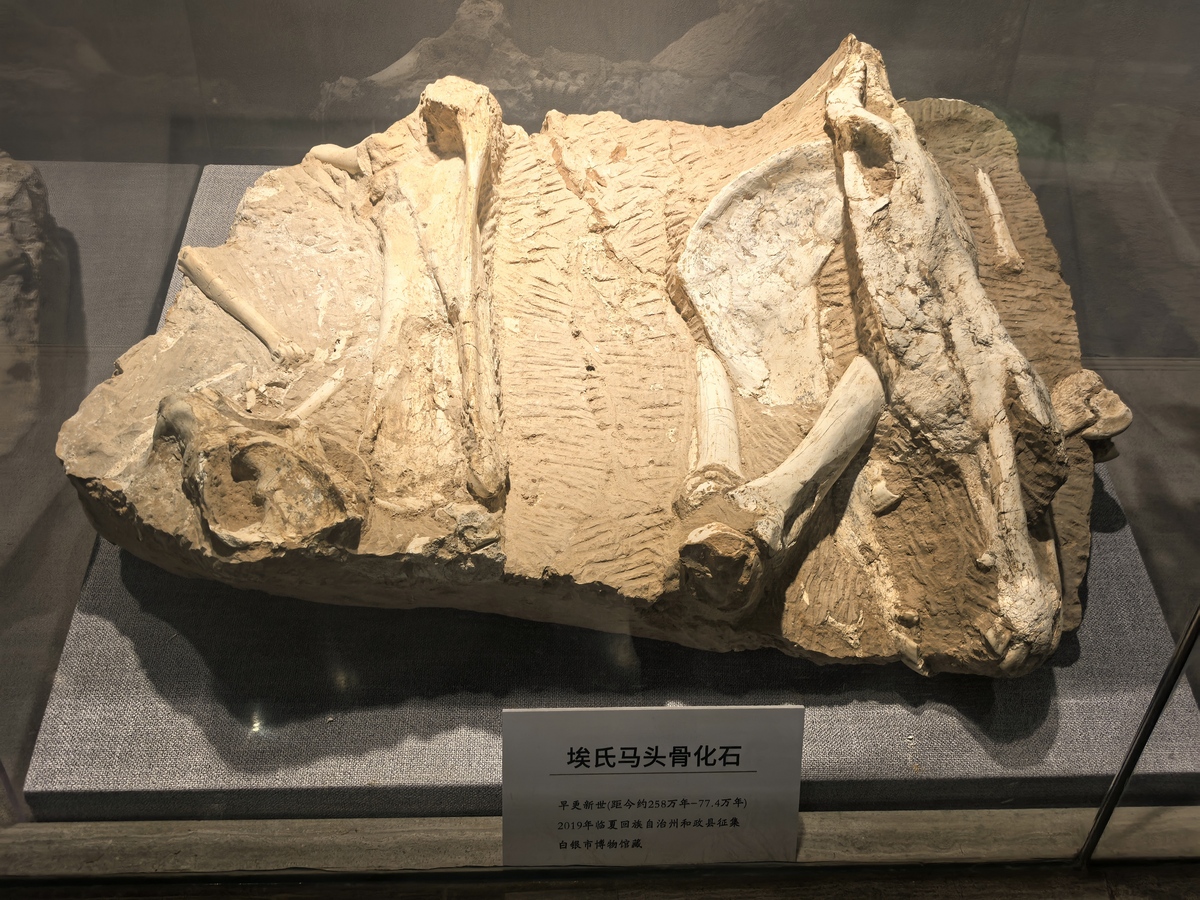 沈阳师范大学古生物学专业怎么样