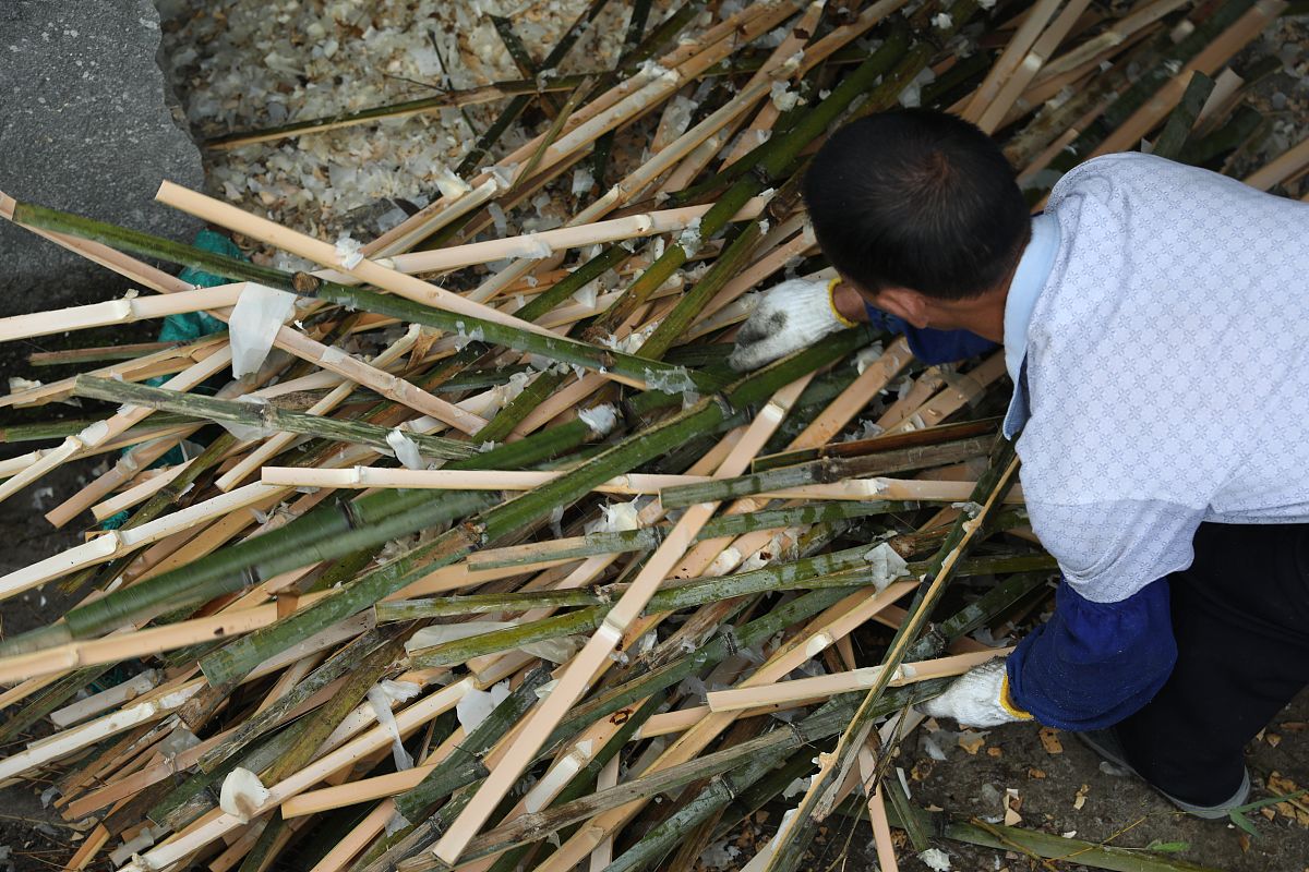 鲜竹沥的传统制作方法