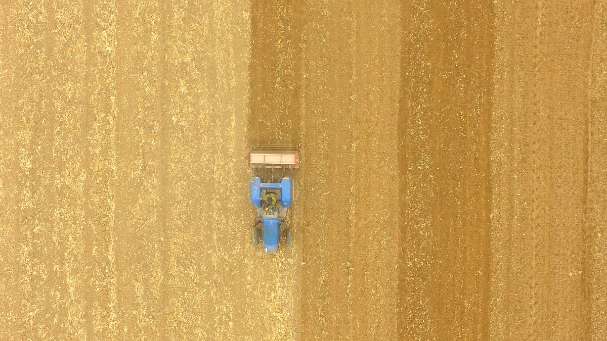 聊城高级工程职业学校2019年招生专业：机电一体化、电气自动化等