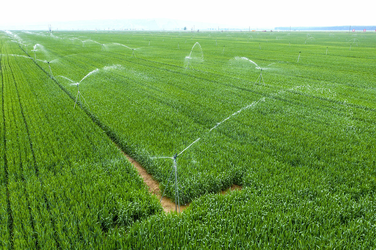 从文献中找相似的话：研究结果将为冬小麦主产区节水高产灌溉方案提供理论依据。