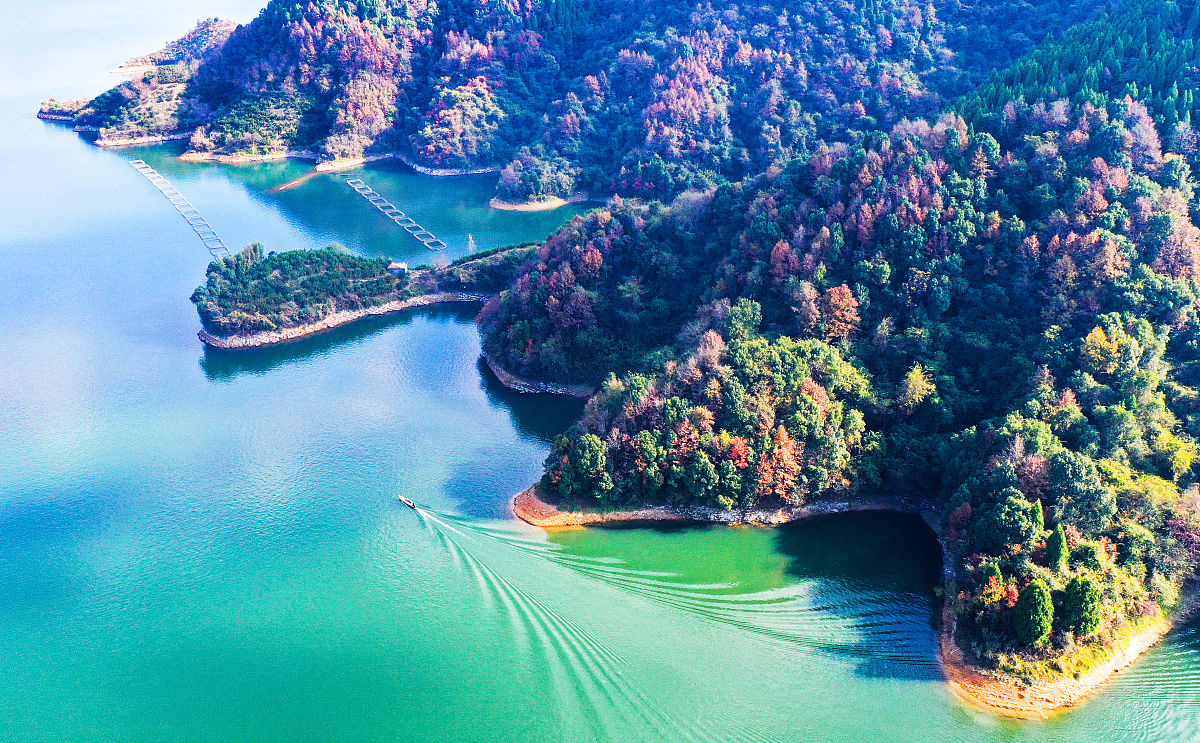 淳安育才学校2022年招生简章