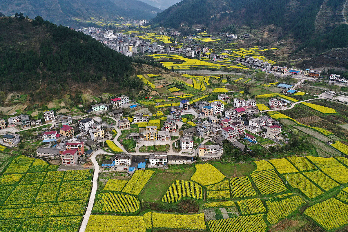 重庆卫校单招学校推荐 | 2021年重庆卫校单招招生信息