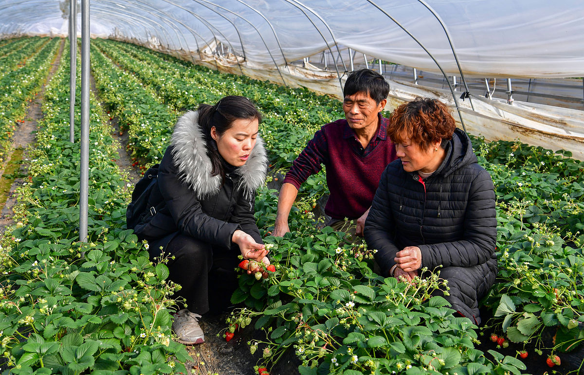 甘肃省体育运动学校考核制度是什么？