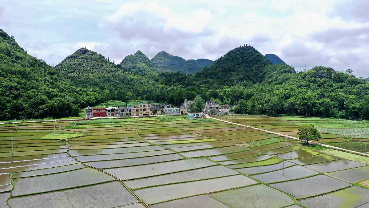 贵州省人民医院护士学校招生条件 - 了解入学要求