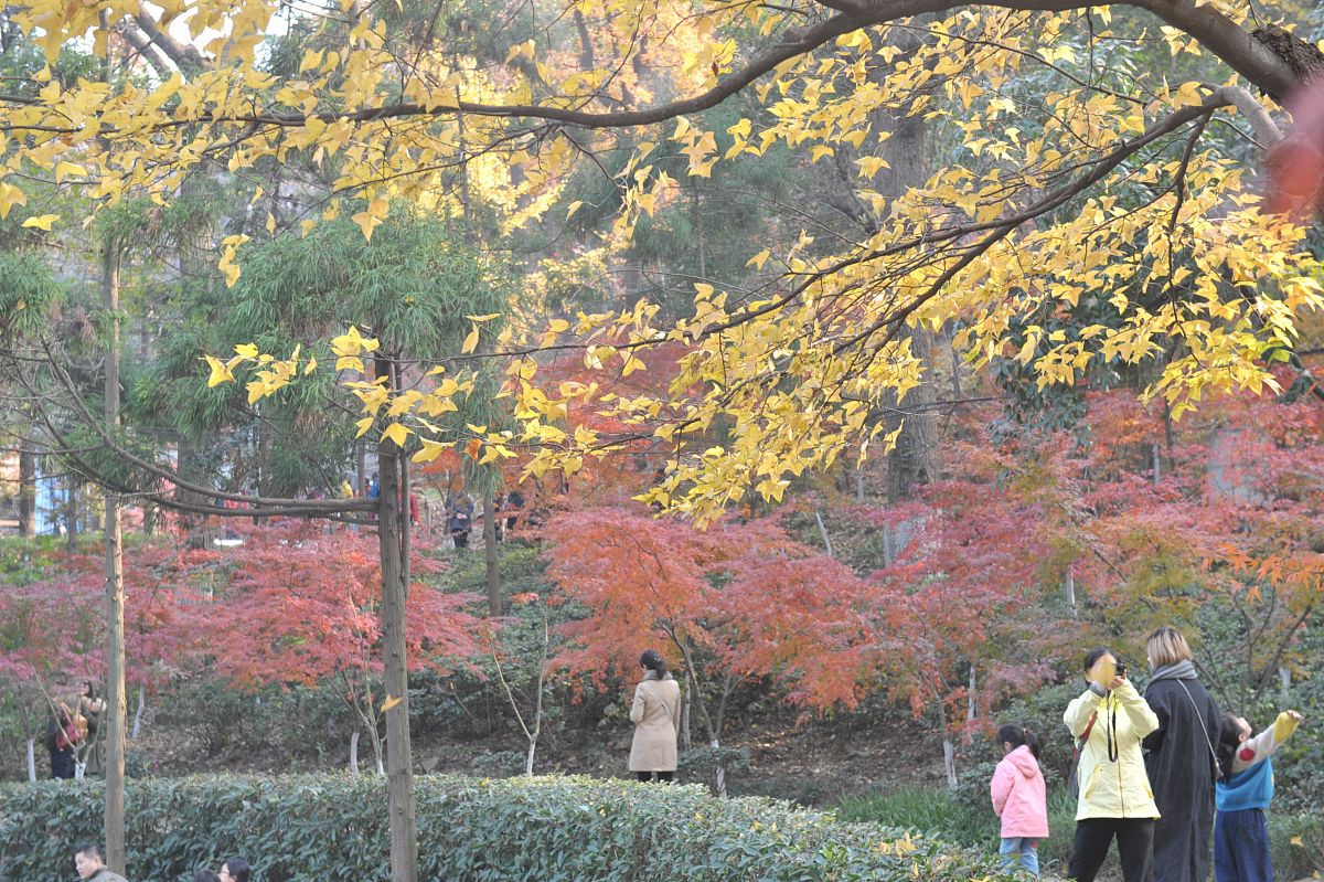 潍坊职业学院校园风光-好不好