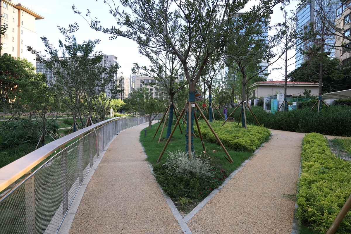港务区绿地二期住宅小区混凝土道路施工方案分析