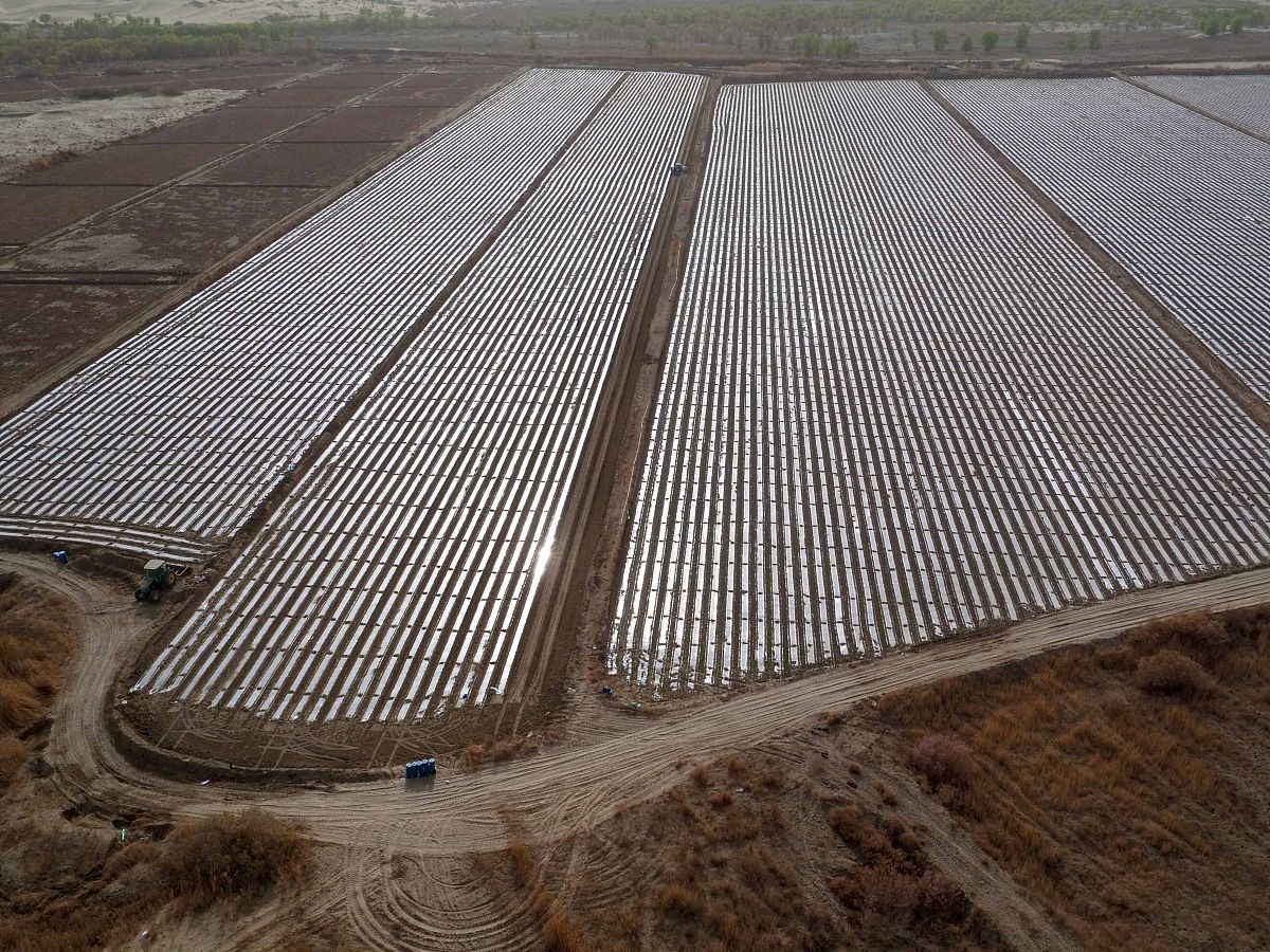 兵团是什么？在哪里？