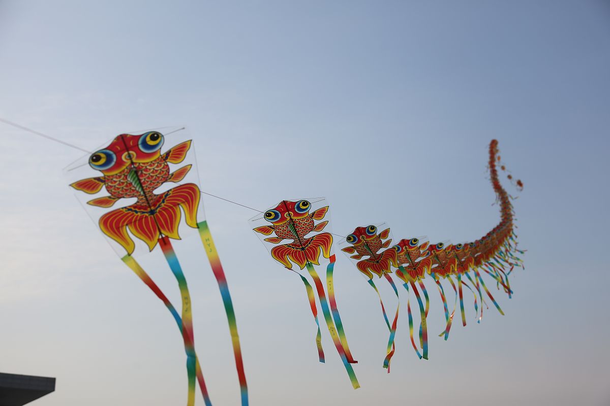 2022年2月5日,河南省郑州市,一风筝爱好者制作的百米风筝随风起舞,似