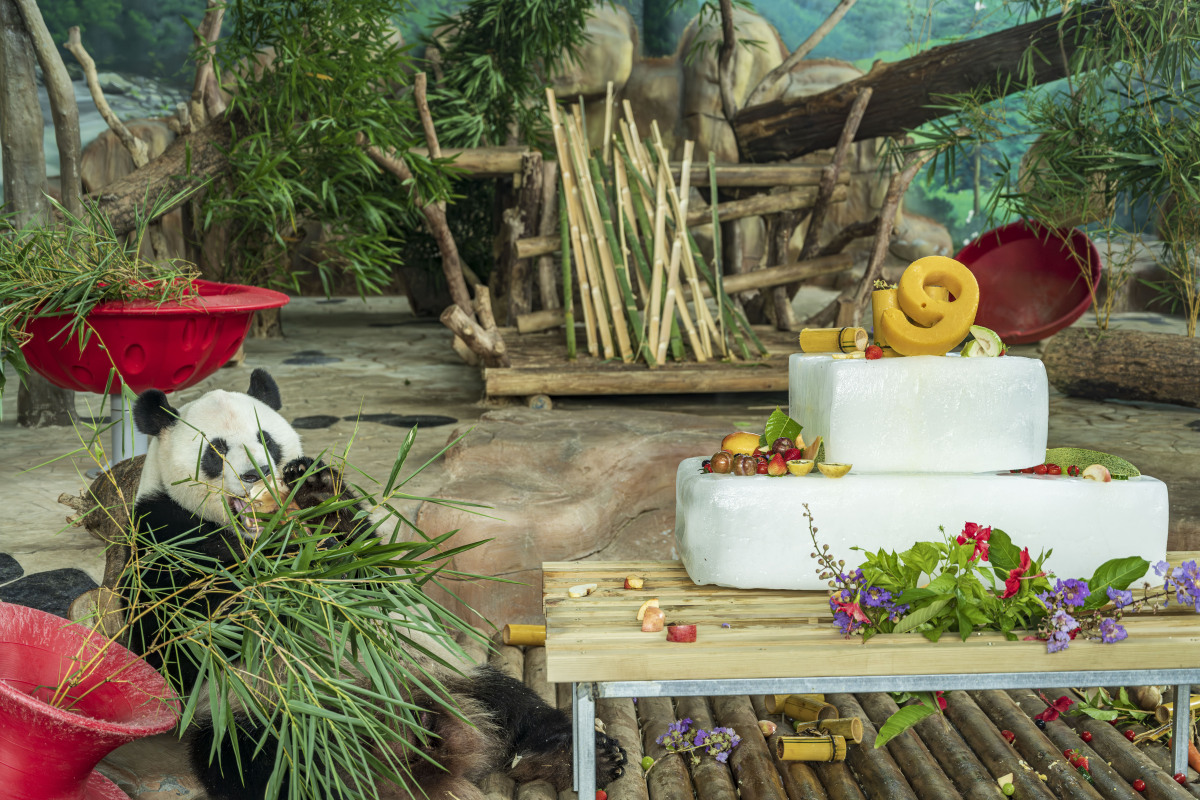 请600字博客文章主题是:上海动物园攻略 请600字博客文章主题是:上海动物园攻略