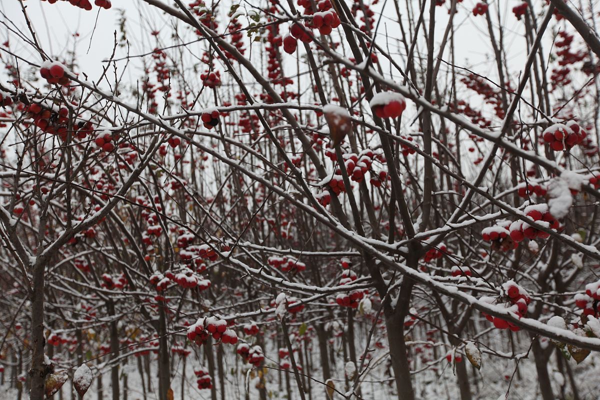 临沂市建设职工中等专业学校中专招生简章