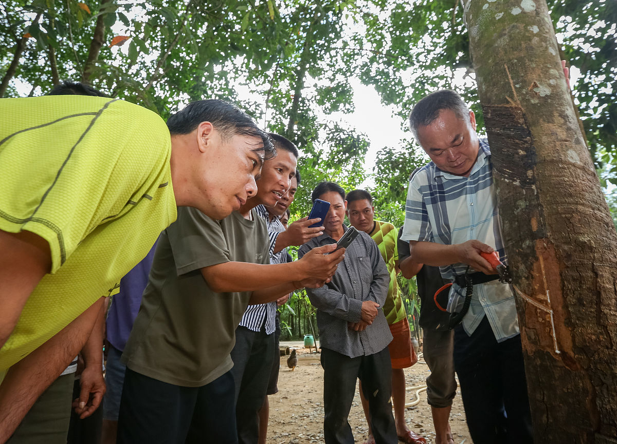以林农信任、社会学习对林业社会化服务的影响为题写一篇硕士论文开题报告需要注意的点有：1、社会学习作为中介变量存在；2、模型采用double hurdle模型；3、字数8000以上
