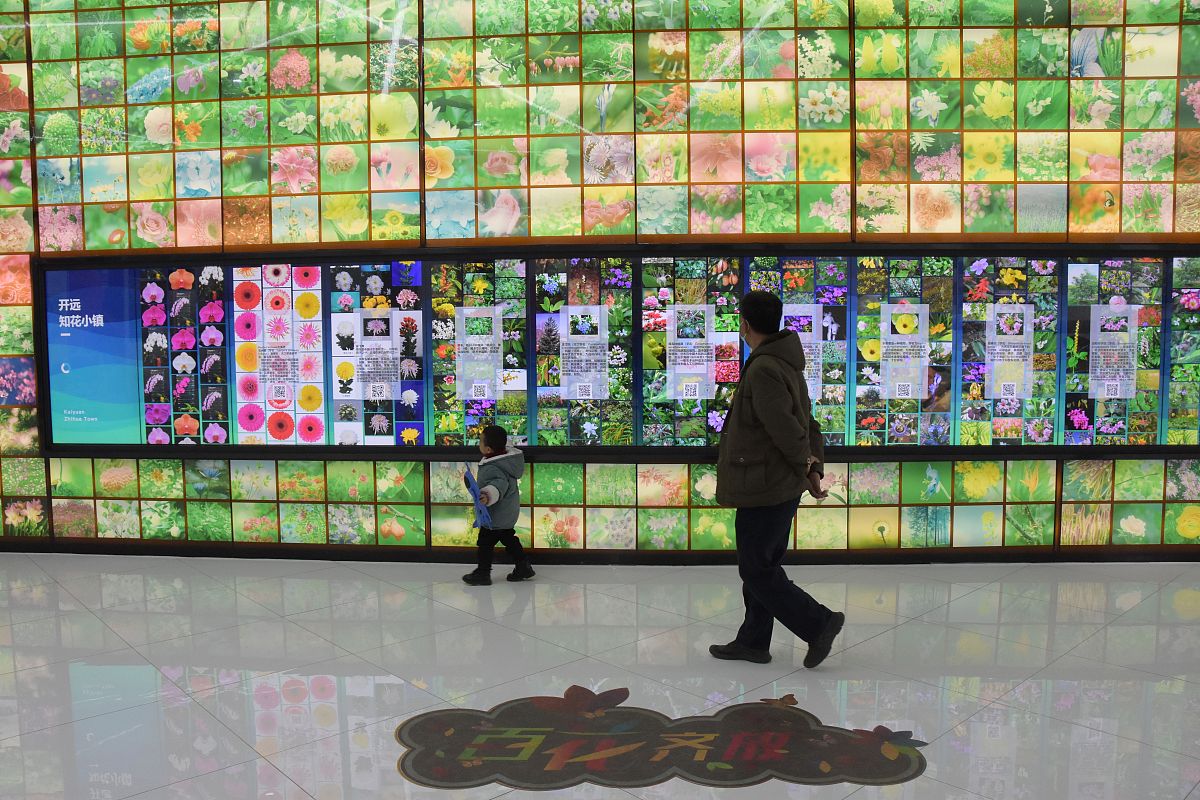 红河财务会计学校2022年招生简章 - 培养优秀的财务会计人才