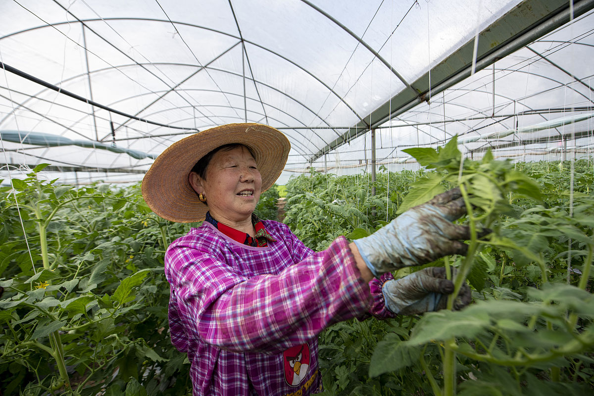 四川省阆中东南航空职业学校招生办联系电话地址