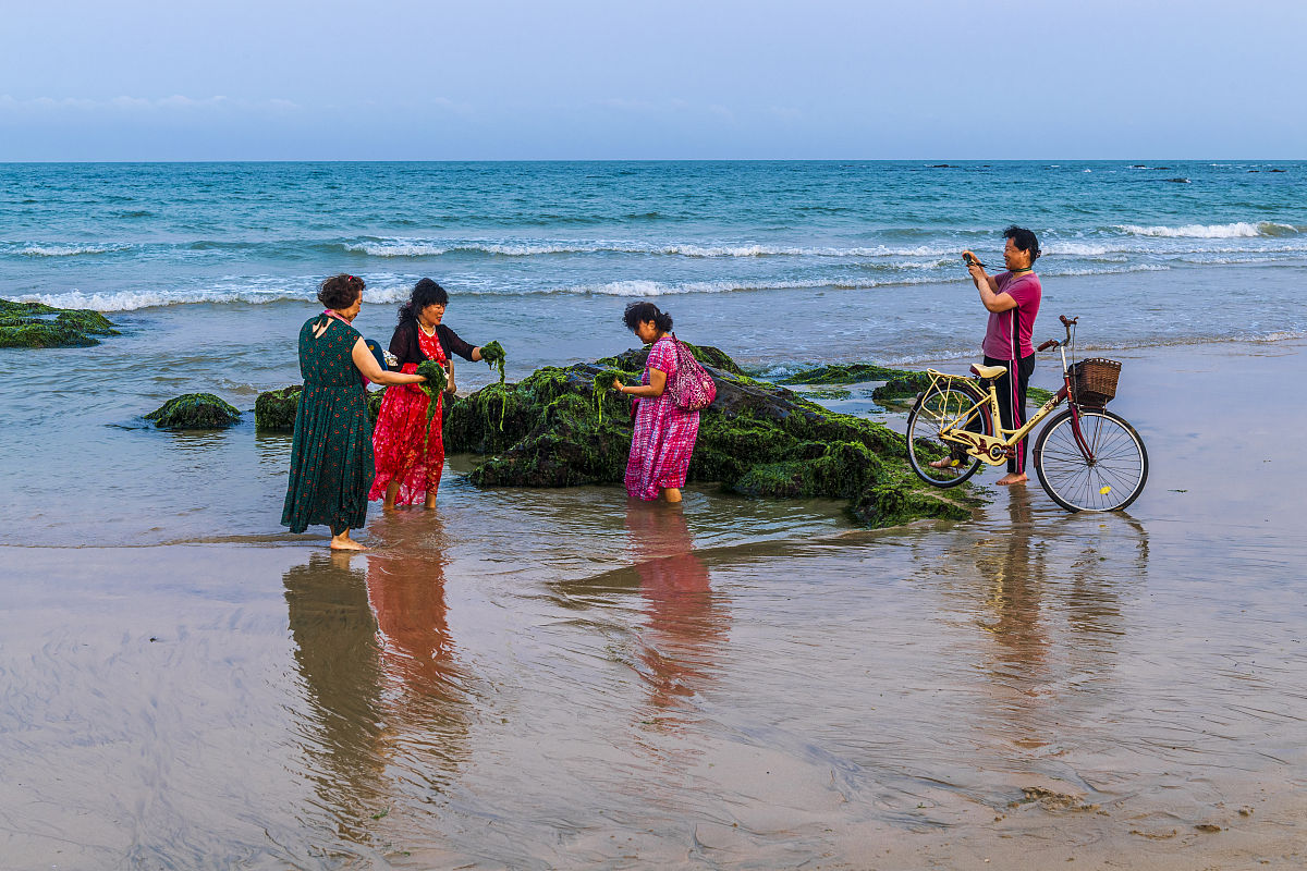 2021年4月1日,海南琼海,博鳌的海滩边,一堆海草,却吸引了很多北方游客