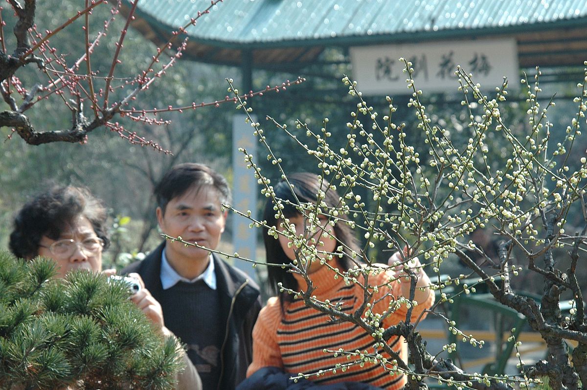 写一篇关于清明节的小学五年级作文