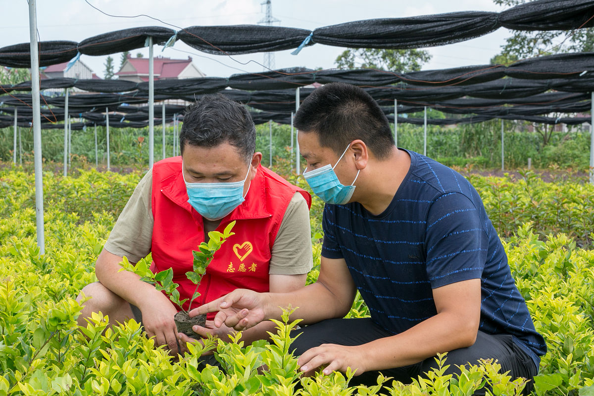 临沧市农业学校中草药栽培专业怎么样？值得学习吗？