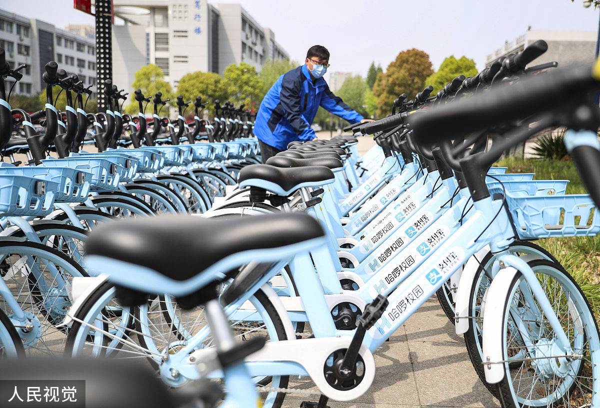 校园哈啰单车管理指南：维护、调度、安全与数据分析