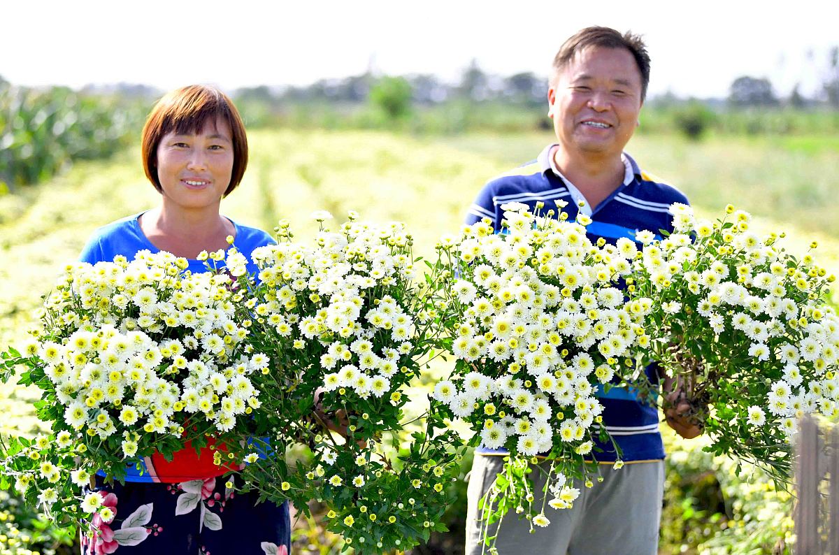 不要用编程求解：某个班级的100位学生参加一场测验所得到的平均分数为79分。若当中所有女学生的平均分数为75分而所有男学生的平均分数恰与这个班级男学生之人数相同请问这个班级班级总共有多少位女学生