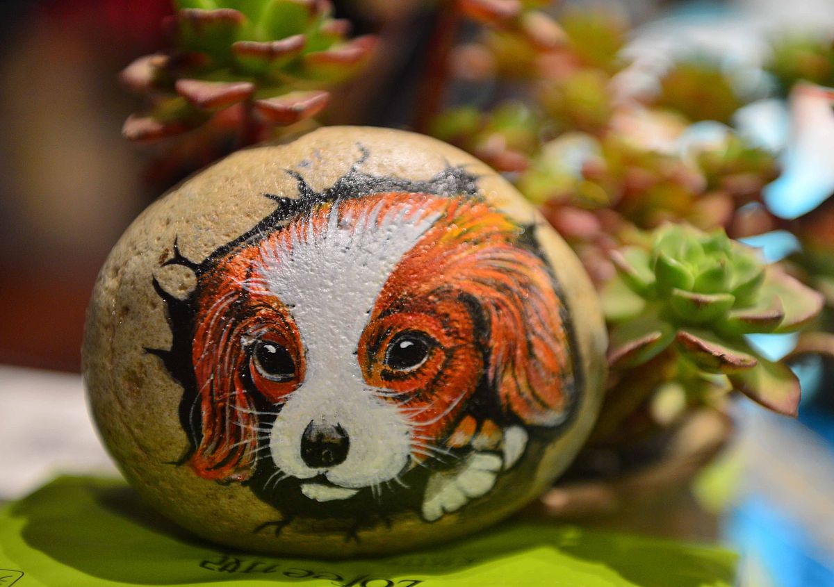 濮阳市综合高级中学专业设置：文理兼备，多元发展