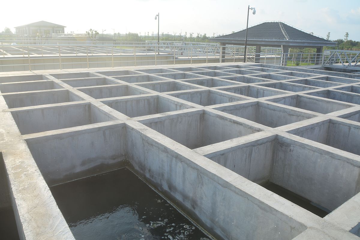 新砌鱼池养鱼指南：从清洗到维护全流程