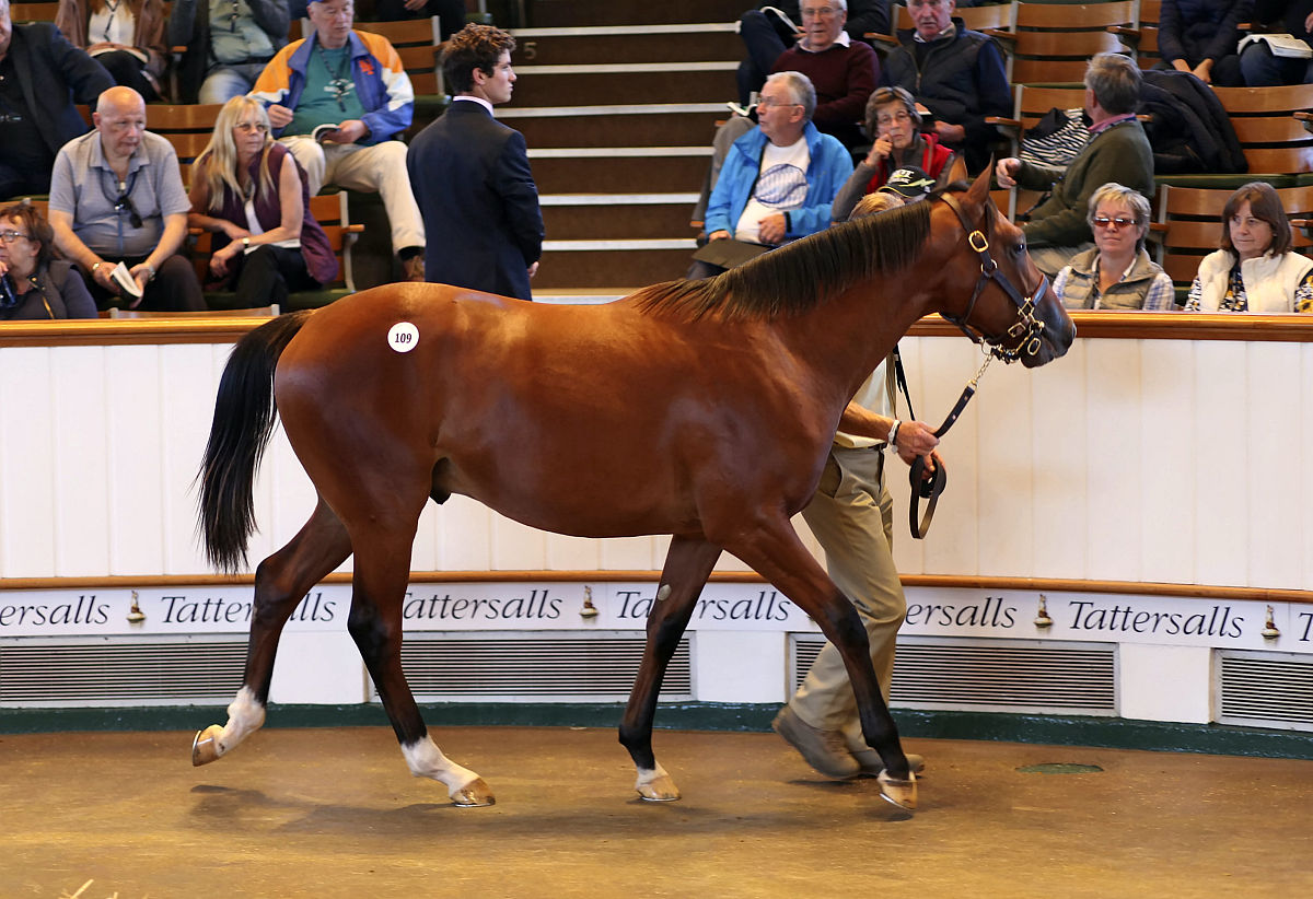 受令人和操作人是一个人吗