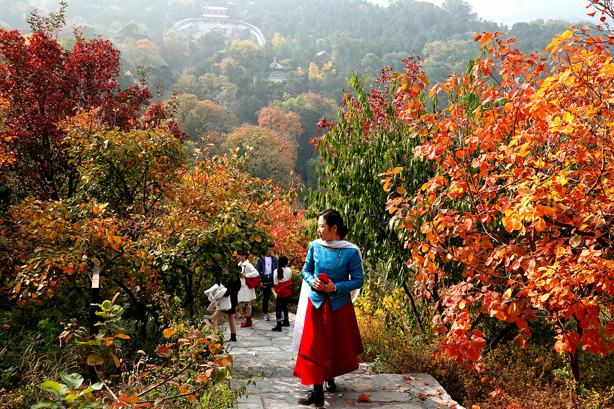 北京香山公园十月末旅游攻略：赏红叶、漫步、品茶