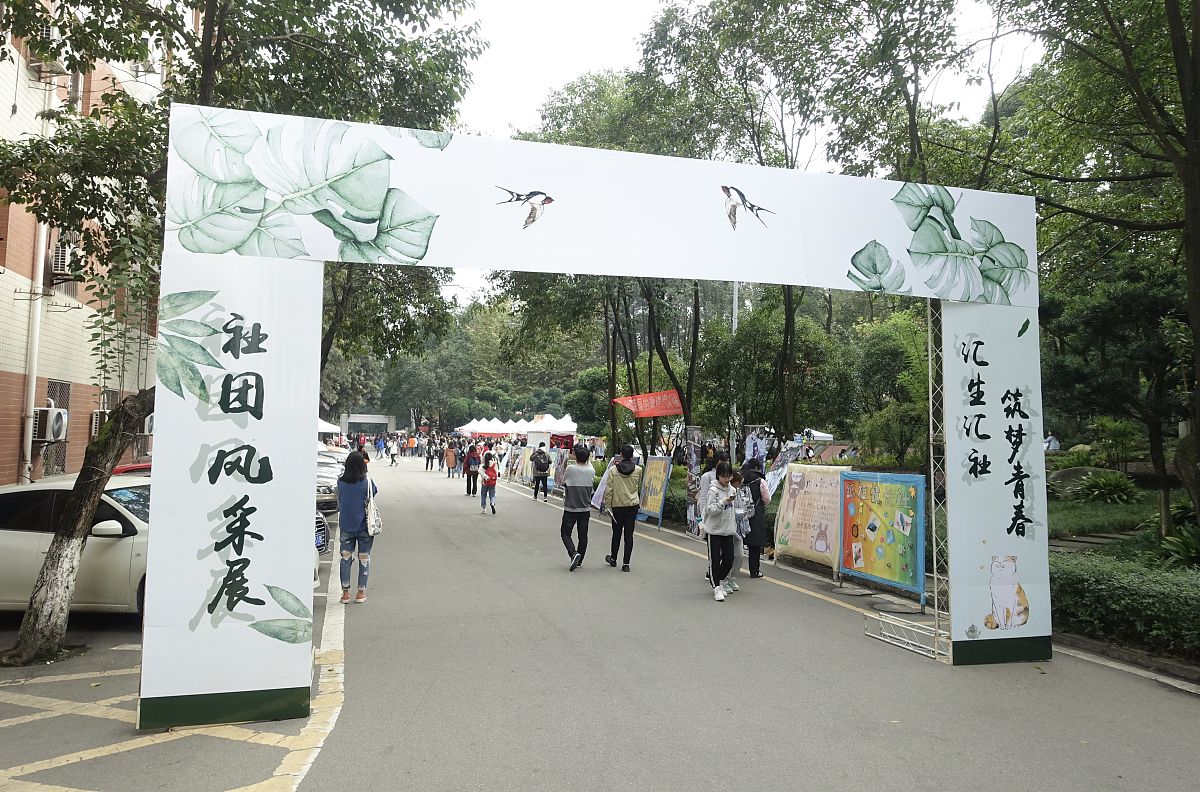 成都幼儿师范学校毕业就业前景分析：职业选择与发展