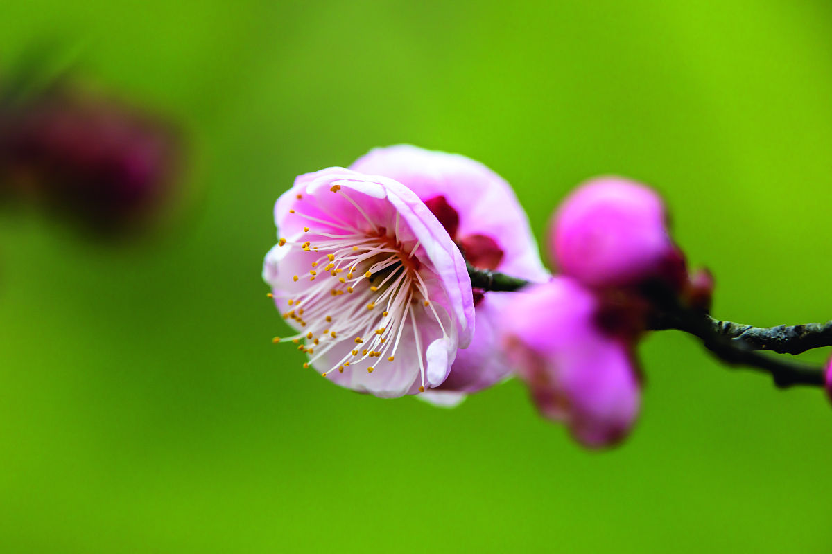 2022年绵阳理工学校招生简章 - 报名指南与录取流程